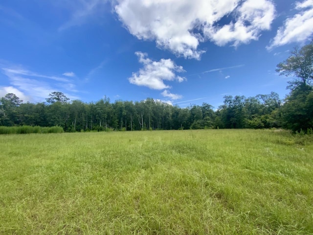 1069 N Salt Rd, Monticello, FL 32344 - photo 2