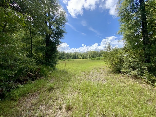 1069 N Salt Rd, Monticello, FL 32344 - photo 11