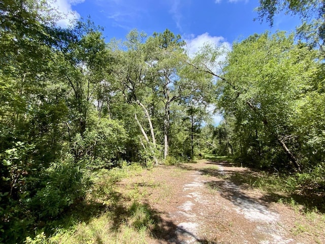 1069 N Salt Rd, Monticello, FL 32344 - photo 42