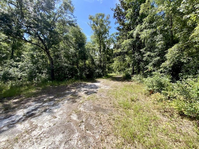 1069 N Salt Rd, Monticello, FL 32344 - photo 22