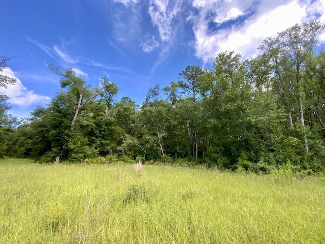 1069 N Salt Rd, Monticello, FL 32344 - photo 7