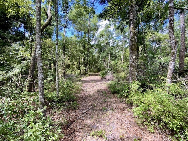 1069 N Salt Rd, Monticello, FL 32344 - photo 13