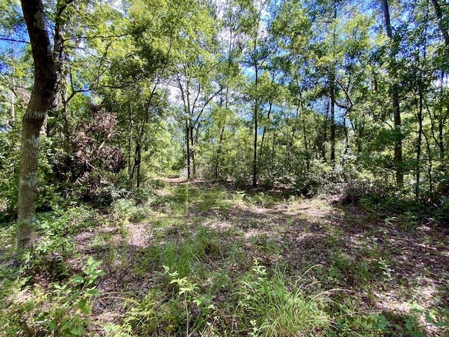 1069 N Salt Rd, Monticello, FL 32344 - photo 24