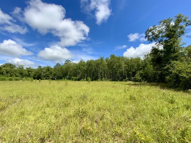1069 N Salt Rd, Monticello, FL 32344 - photo 48