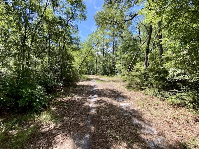 1069 N Salt Rd, Monticello, FL 32344 - photo 25