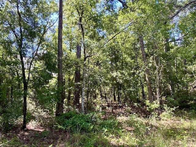 1069 N Salt Rd, Monticello, FL 32344 - photo 37