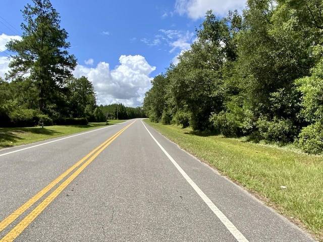 1069 N Salt Rd, Monticello, FL 32344 - photo 36