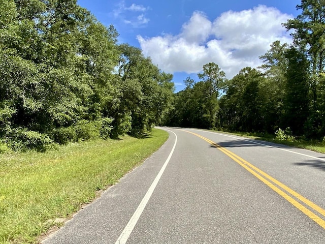 1069 N Salt Rd, Monticello, FL 32344 - photo 35