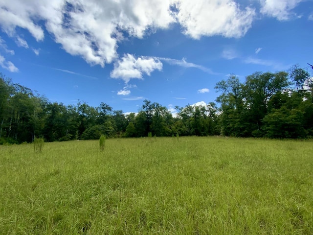 1069 N Salt Rd, Monticello, FL 32344 - photo 4