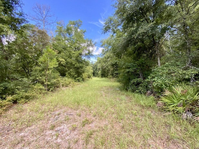 1069 N Salt Rd, Monticello, FL 32344 - photo 9