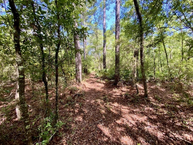 1069 N Salt Rd, Monticello, FL 32344 - photo 20