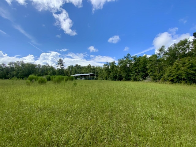 1069 N Salt Rd, Monticello, FL 32344 - photo 8