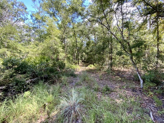 1069 N Salt Rd, Monticello, FL 32344 - photo 29
