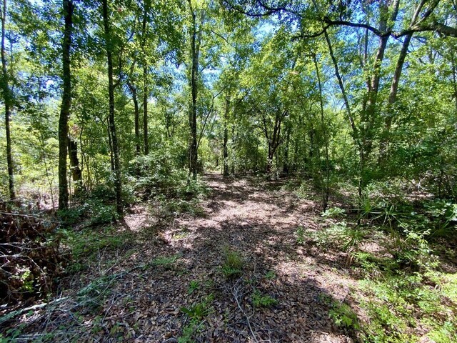 1069 N Salt Rd, Monticello, FL 32344 - photo 31