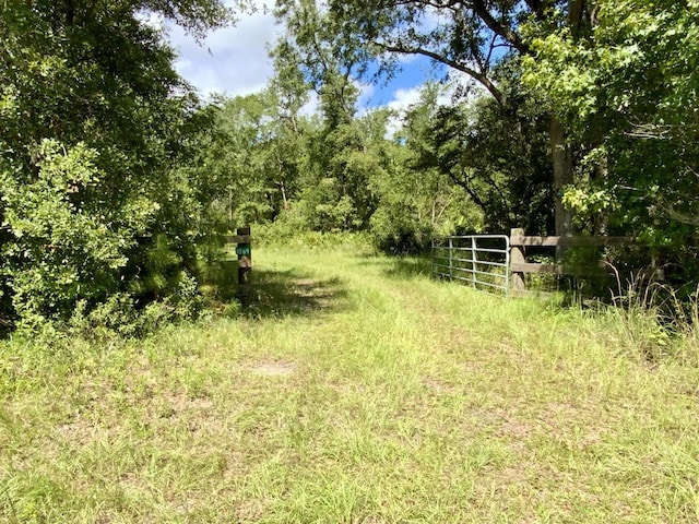 1069 N Salt Rd, Monticello, FL 32344 - photo 34