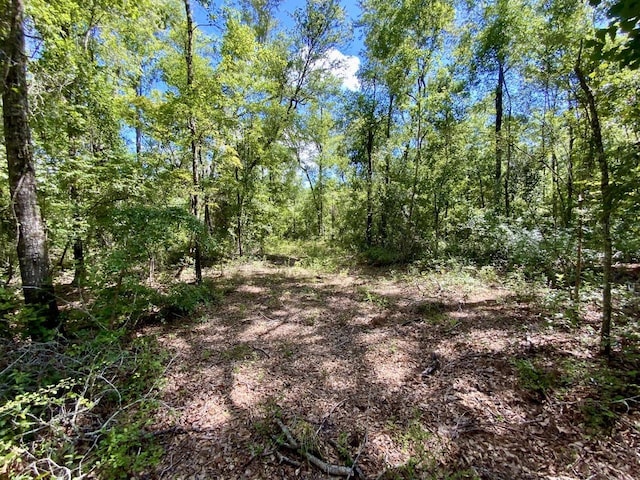 1069 N Salt Rd, Monticello, FL 32344 - photo 44