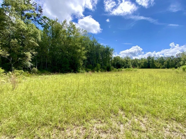 1069 N Salt Rd, Monticello, FL 32344 - photo 12