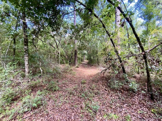 1069 N Salt Rd, Monticello, FL 32344 - photo 14