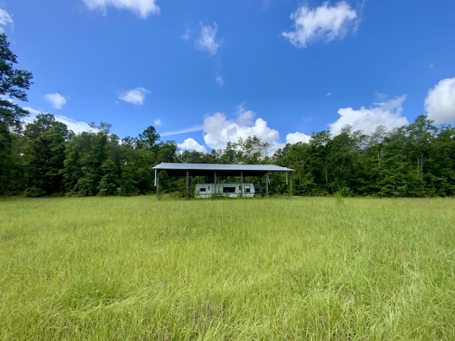 1069 N Salt Rd, Monticello, FL 32344 - photo 1