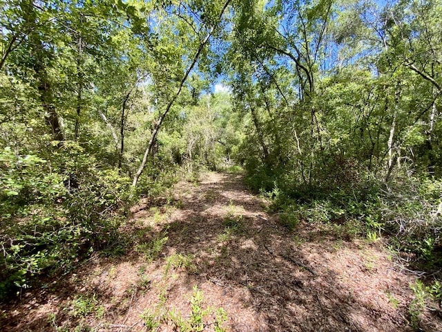 1069 N Salt Rd, Monticello, FL 32344 - photo 16