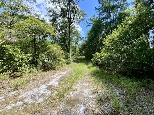 1069 N Salt Rd, Monticello, FL 32344 - photo 27
