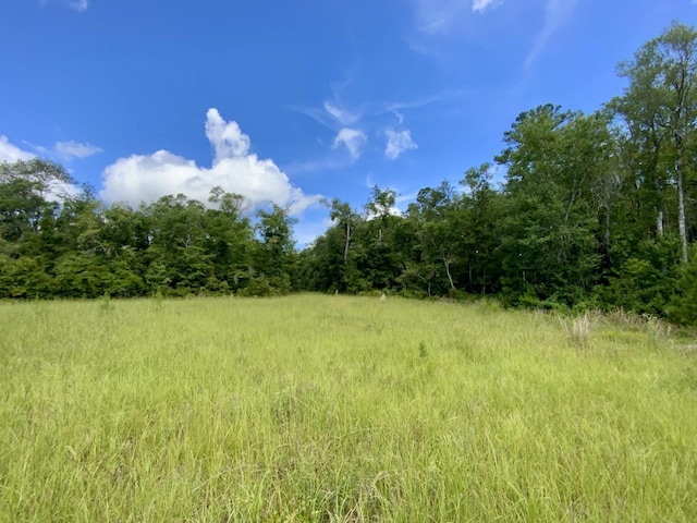 1069 N Salt Rd, Monticello, FL 32344 - photo 6