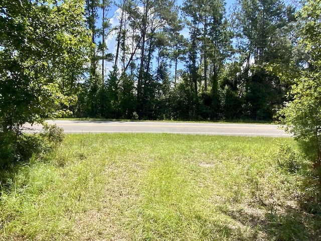 1069 N Salt Rd, Monticello, FL 32344 - photo 33