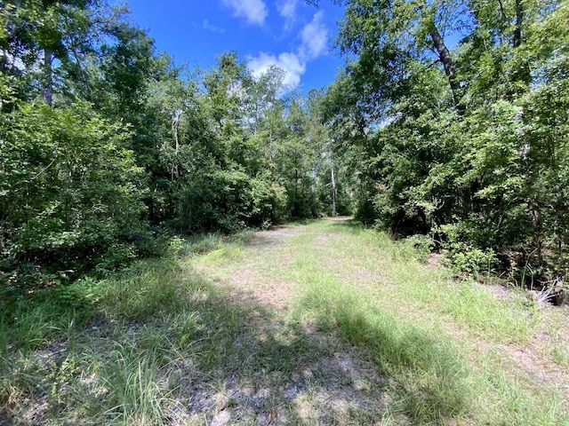 1069 N Salt Rd, Monticello, FL 32344 - photo 28
