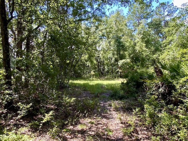 1069 N Salt Rd, Monticello, FL 32344 - photo 32
