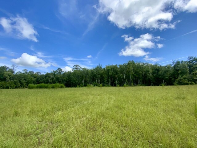 1069 N Salt Rd, Monticello, FL 32344 - photo 3