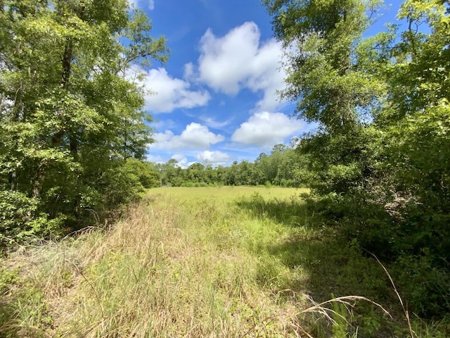 1069 N Salt Rd, Monticello, FL 32344 - photo 47