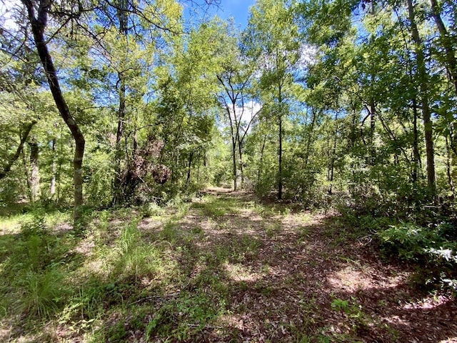1069 N Salt Rd, Monticello, FL 32344 - photo 43