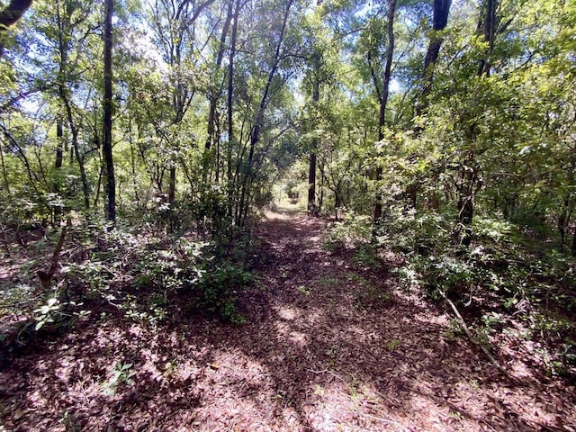 1069 N Salt Rd, Monticello, FL 32344 - photo 21