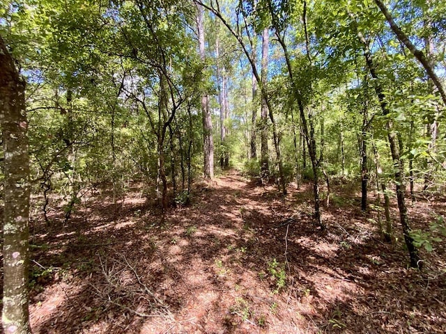 1069 N Salt Rd, Monticello, FL 32344 - photo 19