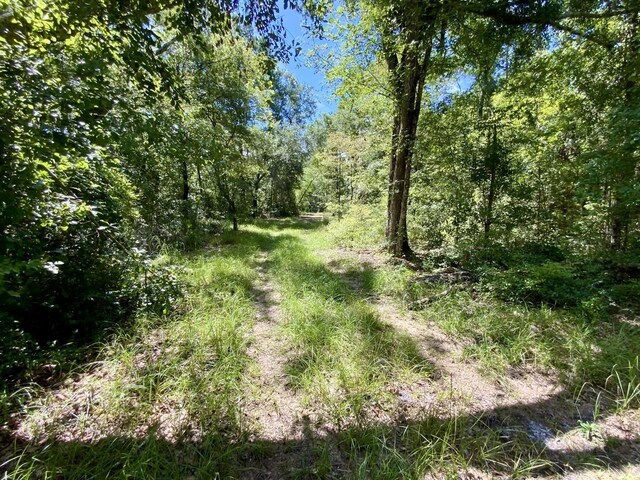 1069 N Salt Rd, Monticello, FL 32344 - photo 23