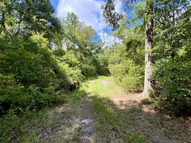 1069 N Salt Rd, Monticello, FL 32344 - photo 38