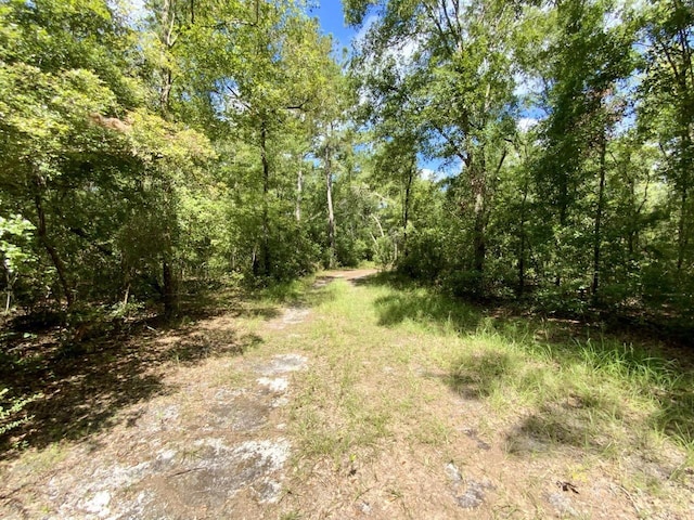1069 N Salt Rd, Monticello, FL 32344 - photo 40