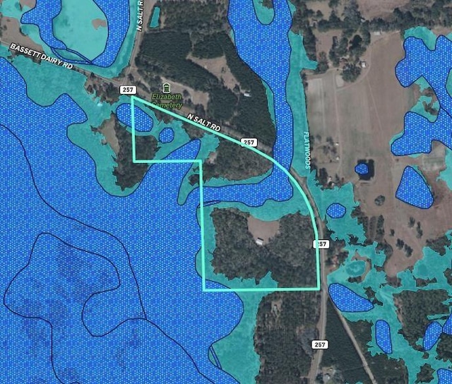 1069 N Salt Rd, Monticello, FL 32344 - photo 50