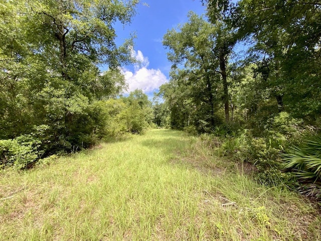 1069 N Salt Rd, Monticello, FL 32344 - photo 10
