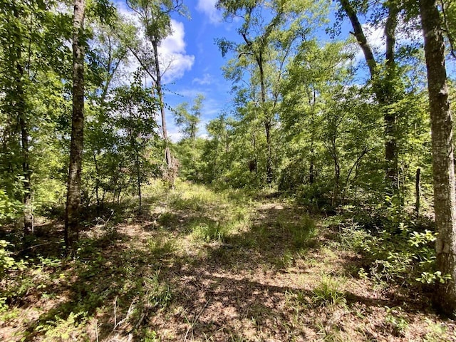 1069 N Salt Rd, Monticello, FL 32344 - photo 46
