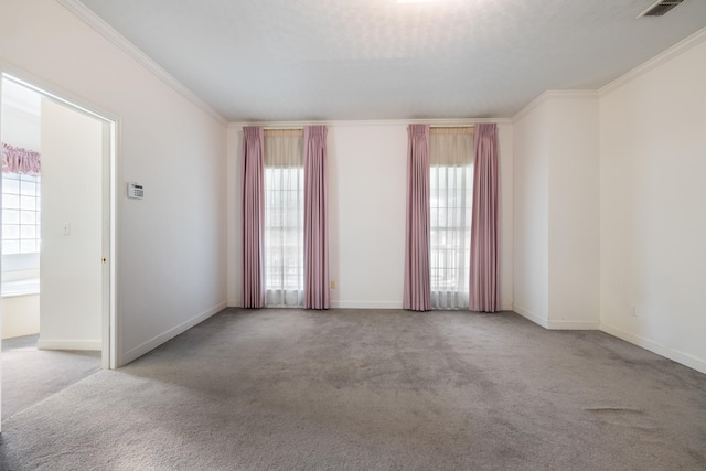 spare room with carpet and crown molding