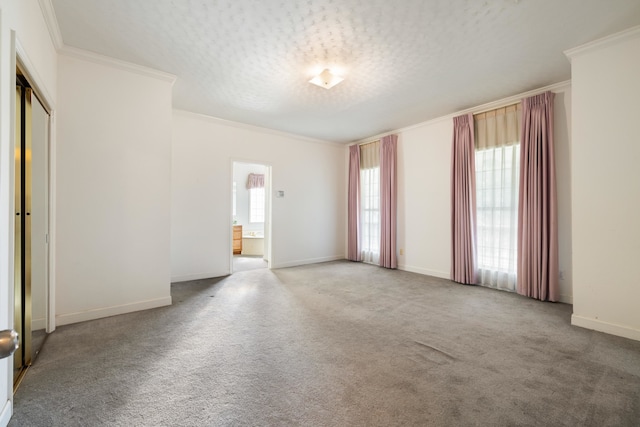 carpeted spare room featuring ornamental molding and a textured ceiling