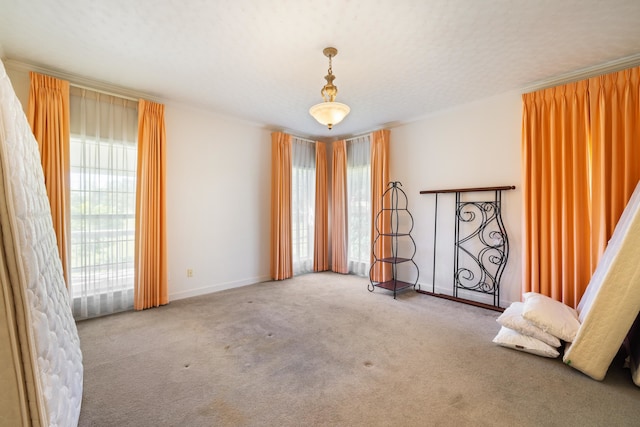 carpeted empty room featuring a wealth of natural light and a textured ceiling