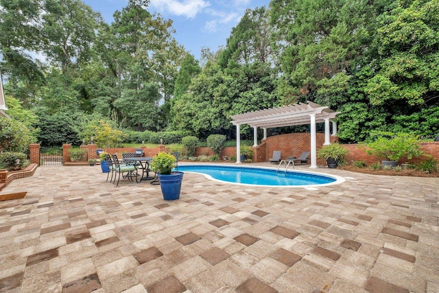 view of pool with a patio and a pergola