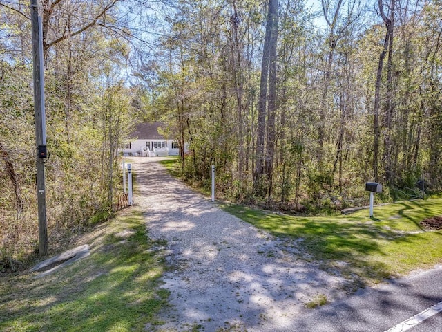 4081 Gamble Rd, Monticello, FL 32344 - photo 5