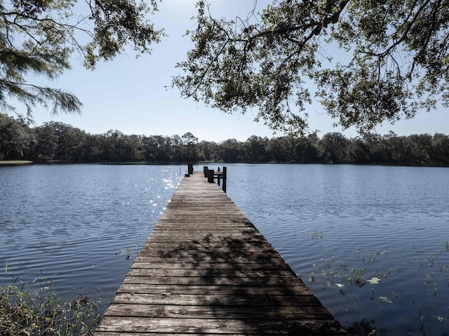 view of dock with a water view