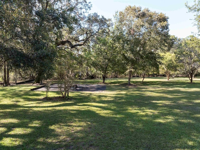 surrounding community featuring a lawn