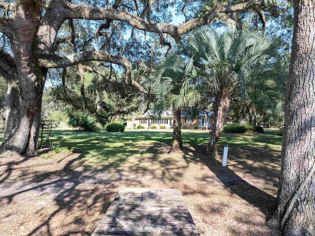 view of home's community featuring a lawn