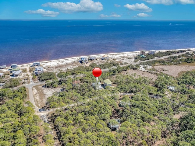 bird's eye view with a water view and a view of the beach