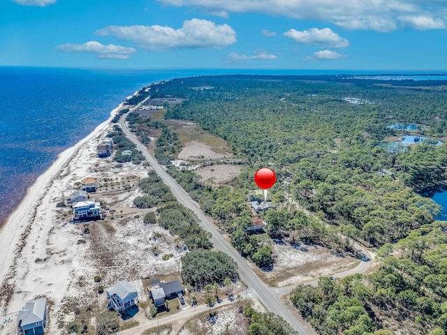 bird's eye view with a water view and a view of the beach